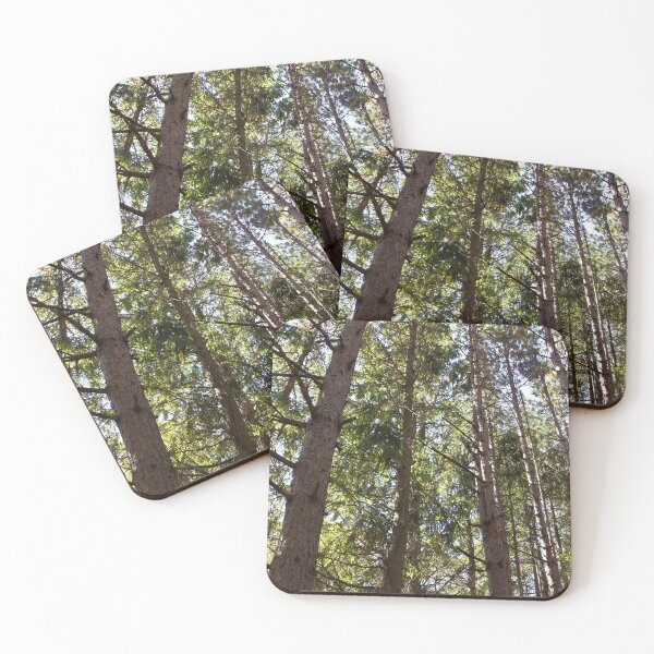 Item preview, Tall Trees designed and sold by 27Rose Photo.