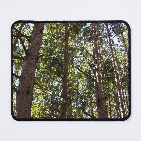 Item preview, Tall Trees designed and sold by 27Rose Photo.