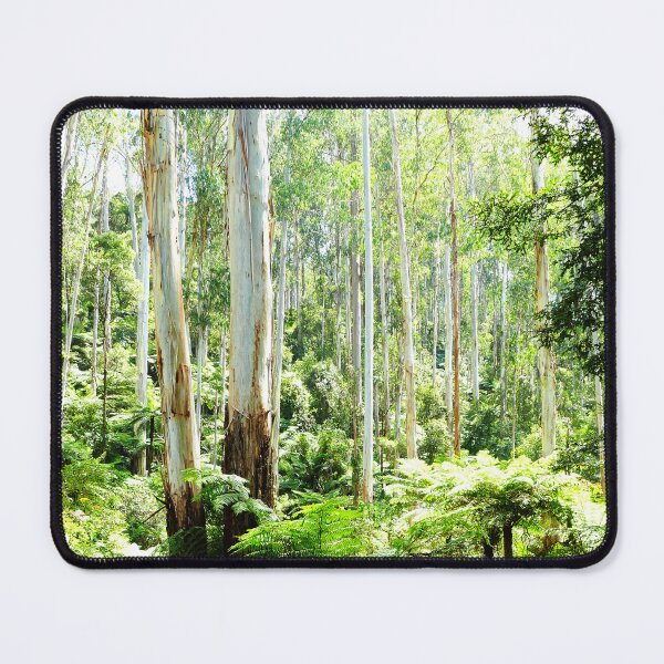 Item preview, Tree Ferns in the Yarra Valley Bushland designed and sold by jaynerushton.