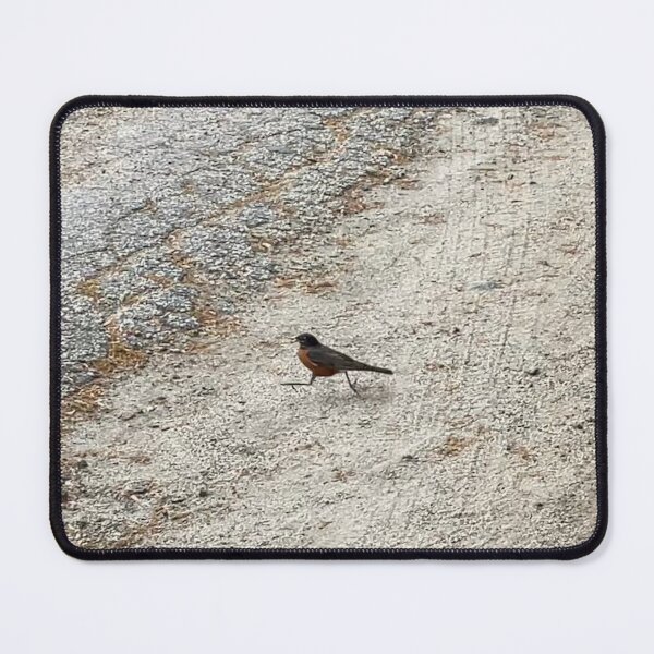 Item preview, Running Robin  designed and sold by Amanda1775.