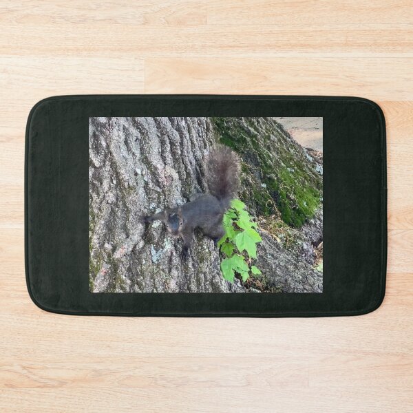 Item preview, Squirrel (a dark morph of the eastern gray squirrel) designed and sold by Amanda1775.