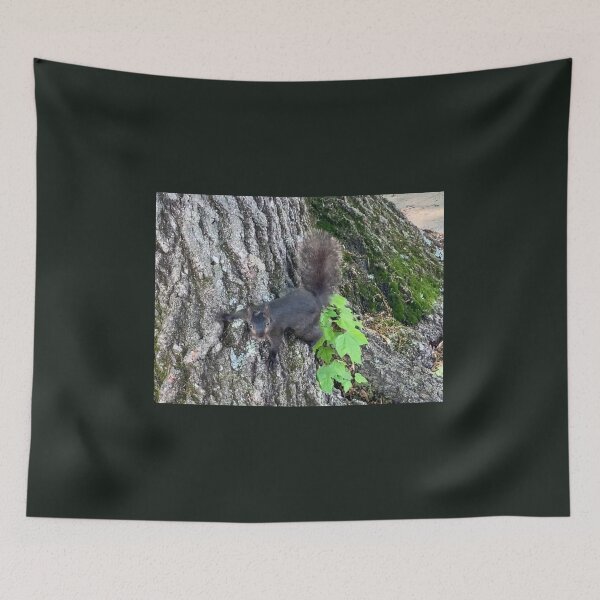 Item preview, Squirrel (a dark morph of the eastern gray squirrel) designed and sold by Amanda1775.