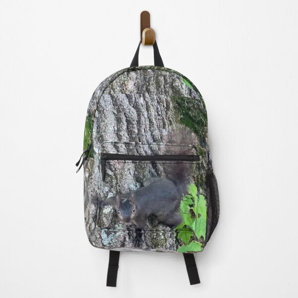Item preview, Squirrel (a dark morph of the eastern gray squirrel) designed and sold by Amanda1775.