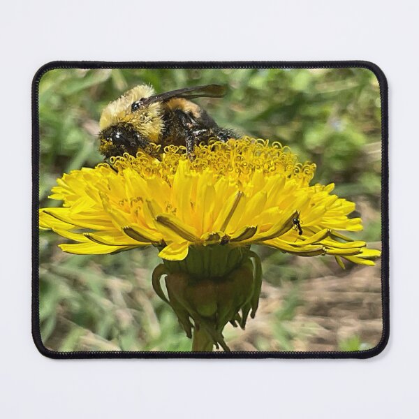 Item preview, Pollinator Puff 5 designed and sold by Abeink1030.