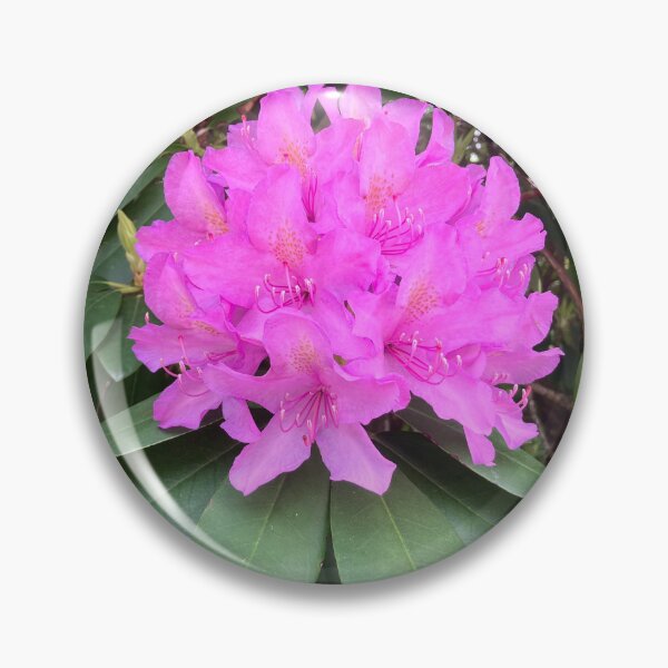 Item preview, Bright Pink Rhododendron  designed and sold by Amanda1775.