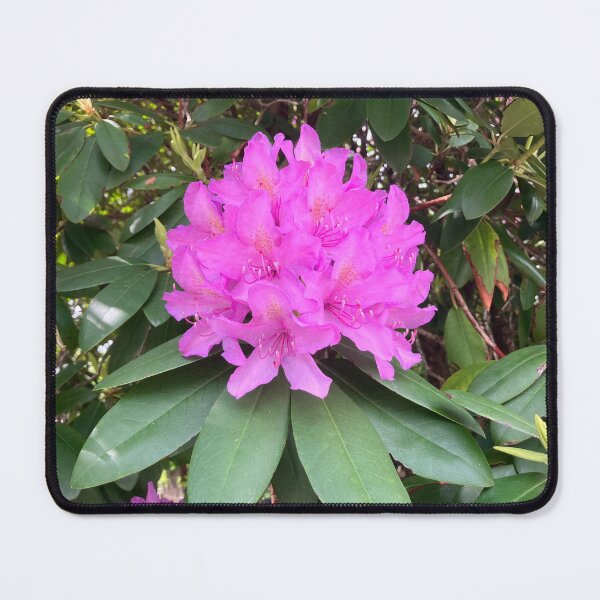 Item preview, Bright Pink Rhododendron designed and sold by Amanda1775.
