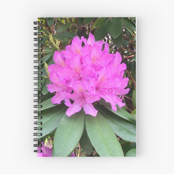 Item preview, Bright Pink Rhododendron  designed and sold by Amanda1775.