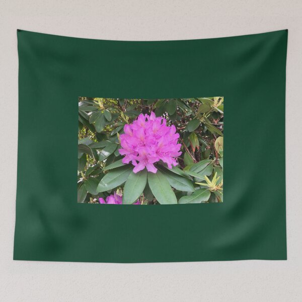 Item preview, Bright Pink Rhododendron  designed and sold by Amanda1775.