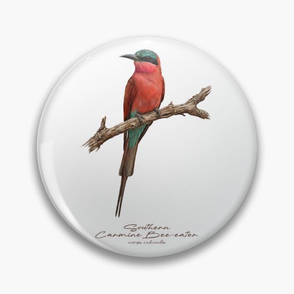 Item preview, Southern Carmine Bee-eater on Branch designed and sold by Takeda-art.