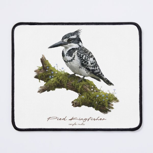 Item preview, Pied Kingfisher on Mossy Branch designed and sold by Takeda-art.