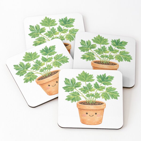 Item preview, Ashitaba Potted Plant designed and sold by scicilysimonee.