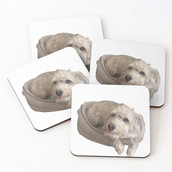 Item preview, Cute dog  designed and sold by Snoopygirl1261.