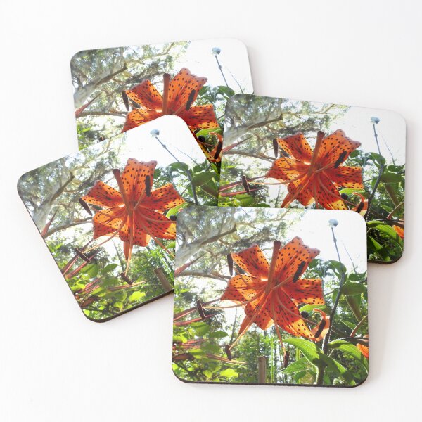 Item preview, SUNSHINE THROUGH THE TIGER LILY FLOWER designed and sold by AussieAl.