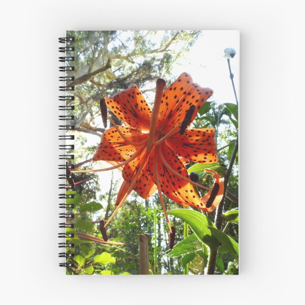 Item preview, SUNSHINE THROUGH THE TIGER LILY FLOWER designed and sold by AussieAl.