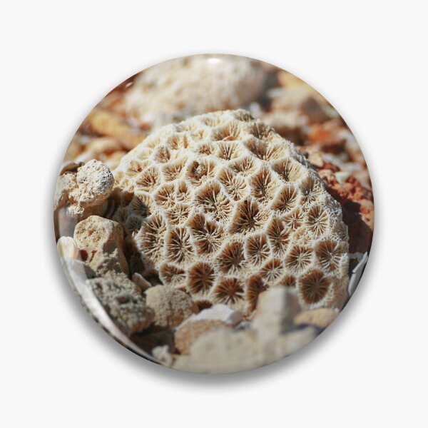Item preview, Coral found amongst the sea pebbles and shells  designed and sold by jaynerushton.