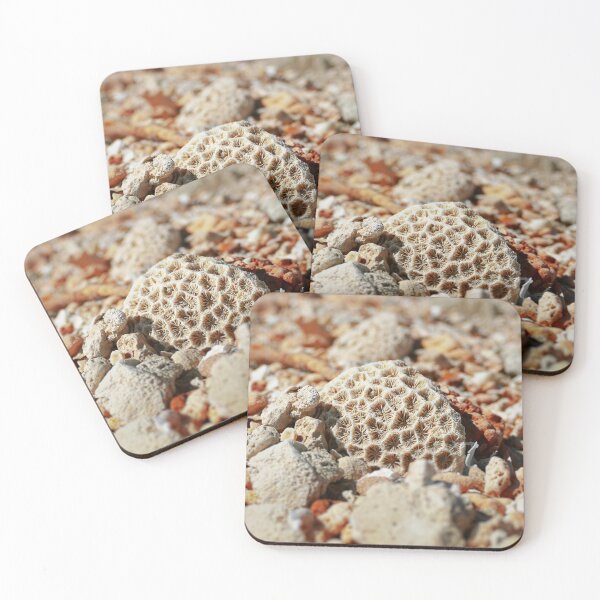 Item preview, Coral found amongst the sea pebbles and shells  designed and sold by jaynerushton.