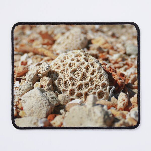 Item preview, Coral found amongst the sea pebbles and shells  designed and sold by jaynerushton.