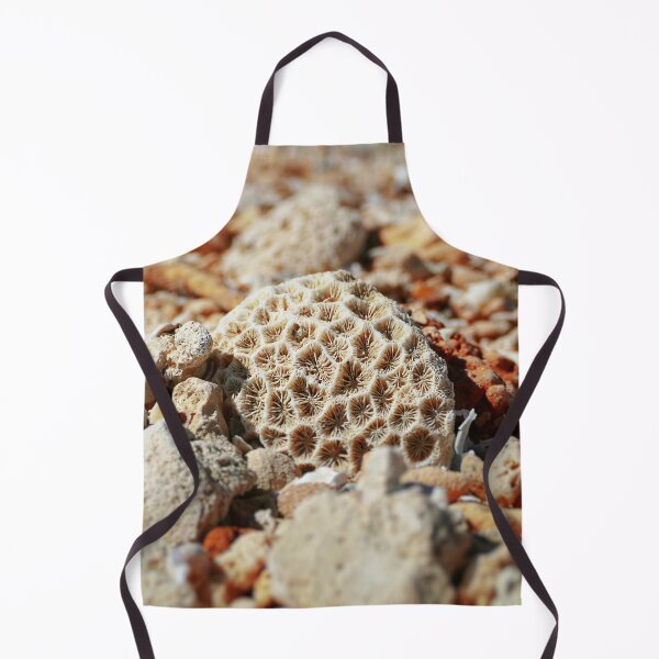 Item preview, Coral found amongst the sea pebbles and shells  designed and sold by jaynerushton.