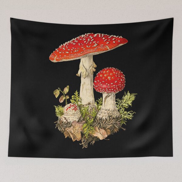 Item preview, Amanita Muscaria designed and sold by PastelWingg.