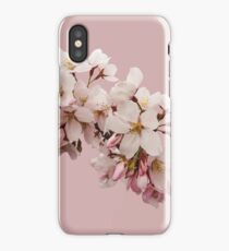 Cherry Blossom Festival in Kyoto iPhone Case