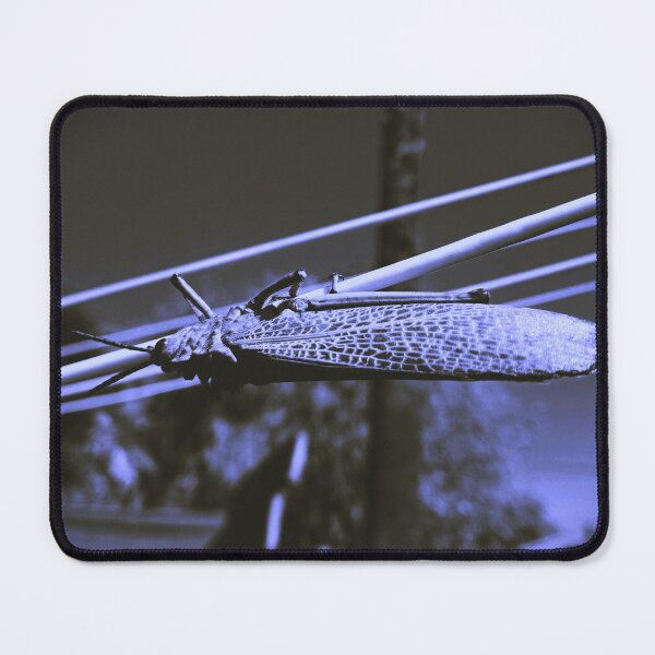 Item preview, Chitinous Monotone II designed and sold by Hellsveiah.
