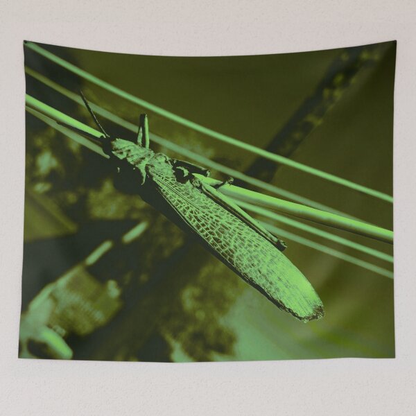 Item preview, Chitinous Monotone III designed and sold by Hellsveiah.
