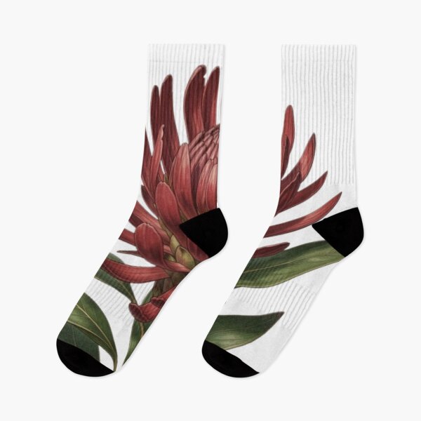 Item preview, Protea designed and sold by Kirrindy Designs.