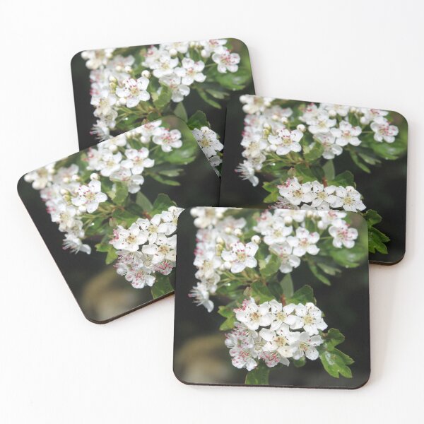 Item preview, blossom designed and sold by KathleenDawson.