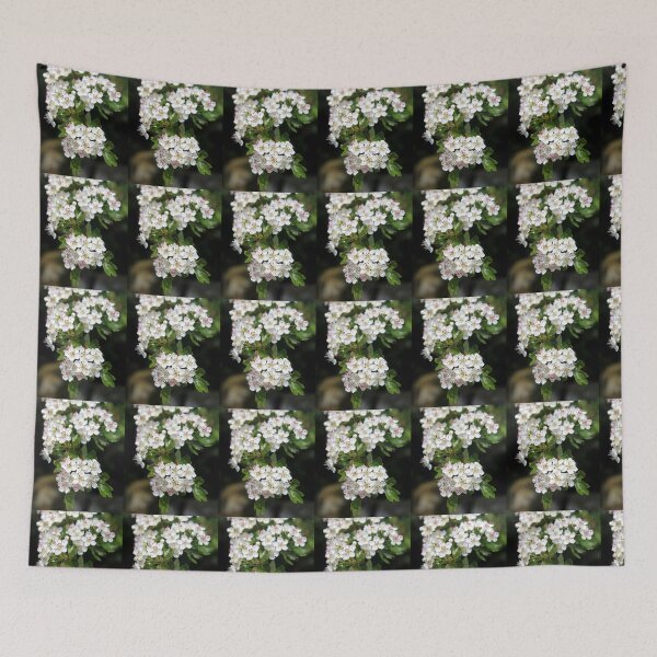 Item preview, blossom designed and sold by KathleenDawson.