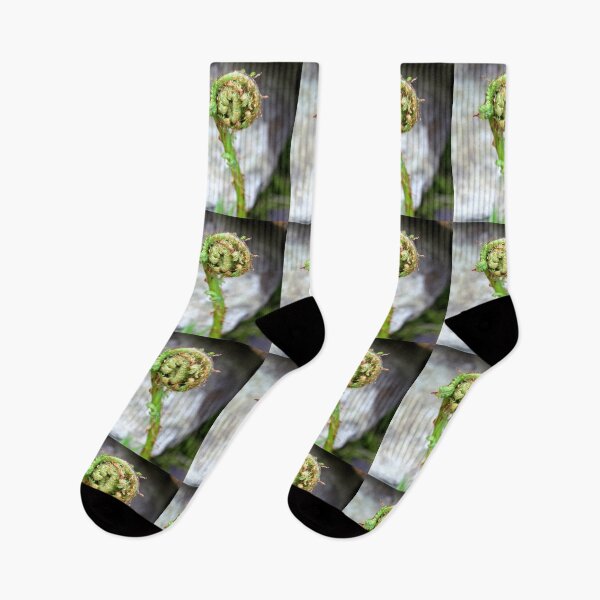 Item preview, fern designed and sold by KathleenDawson.