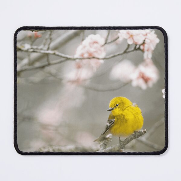 Item preview, Wild Bird Spring Blossom Nature Wildlife designed and sold by Fenrirsnikt.
