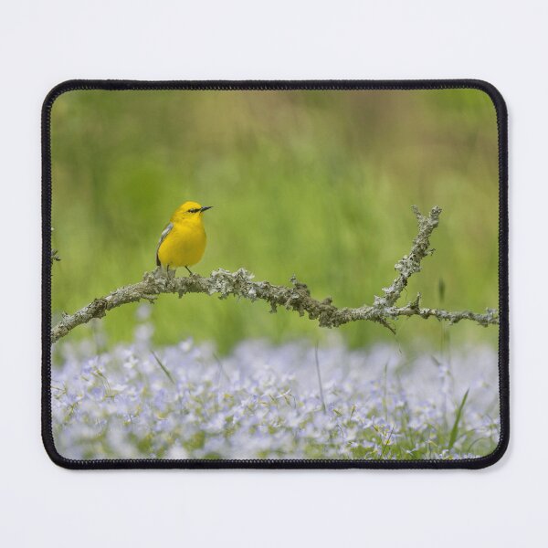 Item preview, Birdwatching Nature Lover Wildlife Enthusiast designed and sold by Fenrirsnikt.