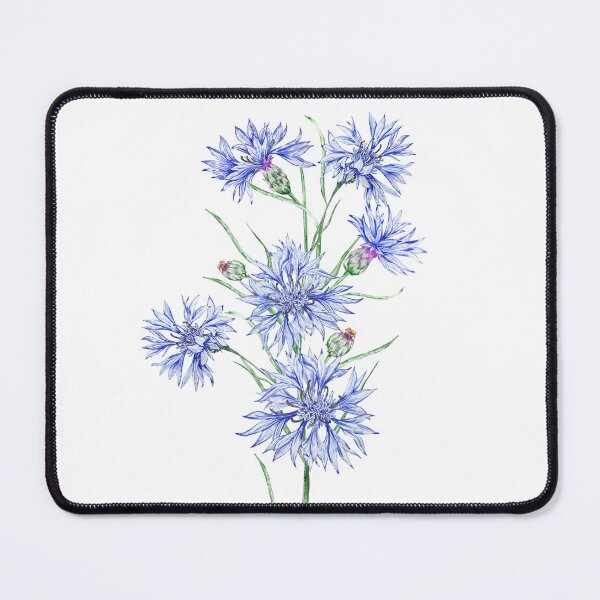 Item preview, Cornflowers Birth Month Flower designed and sold by SvetlanaArt.