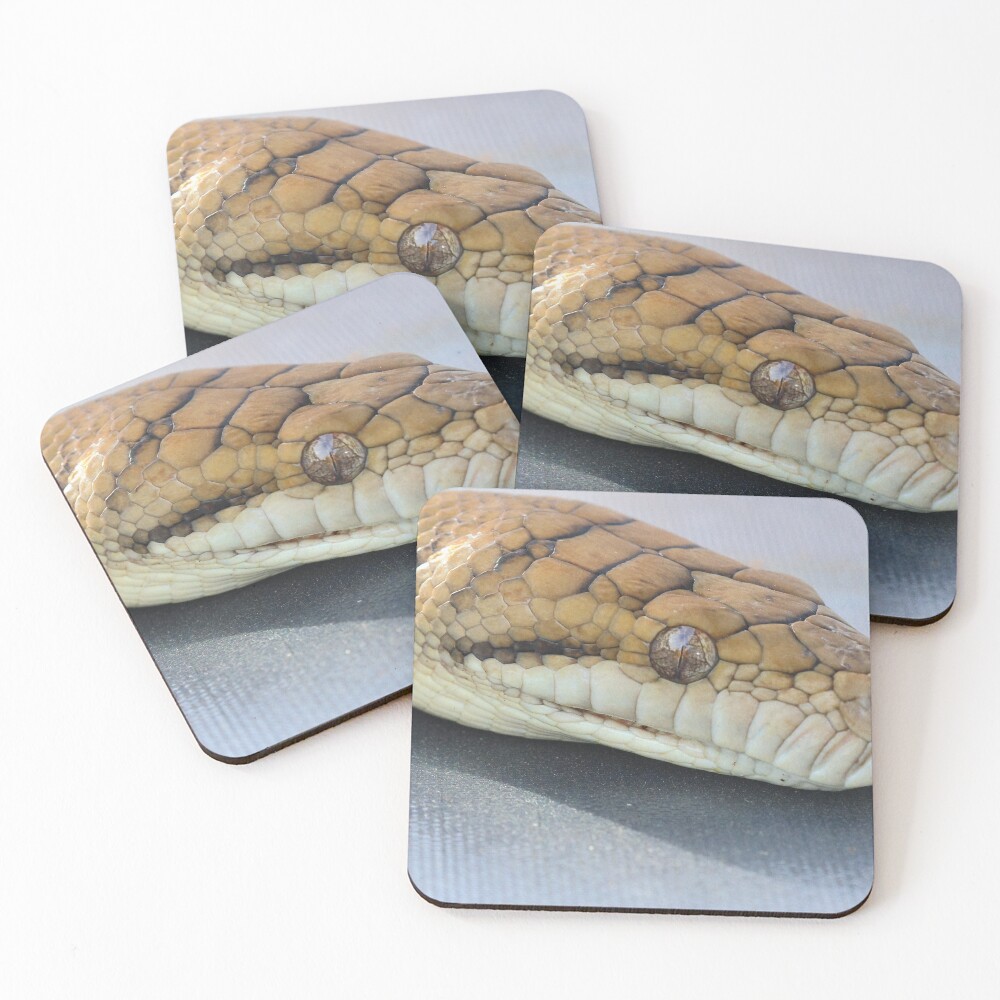 Item preview, Coasters (Set of 4) designed and sold by starvingphoto.