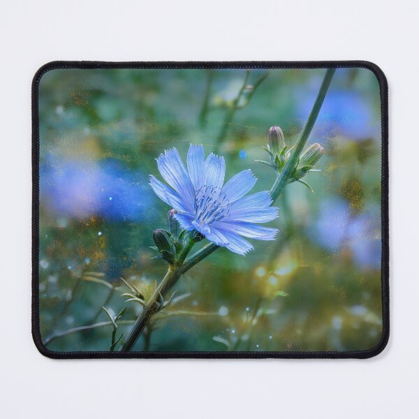 Item preview, Ethereal Chicory Blooms – Bach Flower Healing Energy designed and sold by helgekerler.