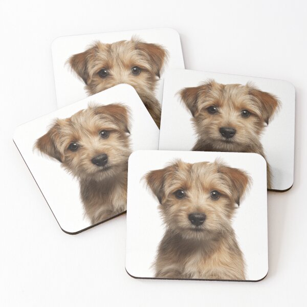 Item preview, Adorable Norfolk Terrier puppy for Cute Norfolk Terrier puppy lovers designed and sold by LazyOwlStore.