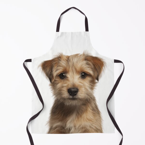Item preview, Adorable Norfolk Terrier puppy for Cute Norfolk Terrier puppy lovers designed and sold by LazyOwlStore.