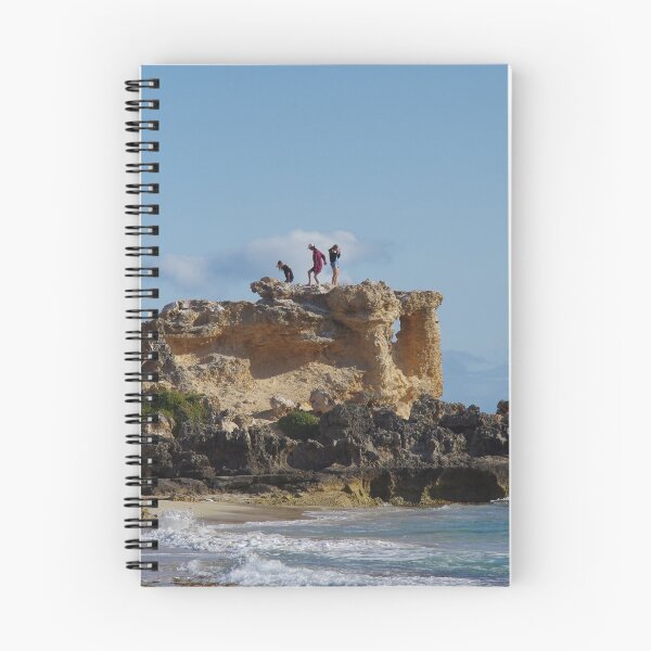 Item preview, Stupid And Irresponsible  (Point Peron, WA) designed and sold by lezvee.