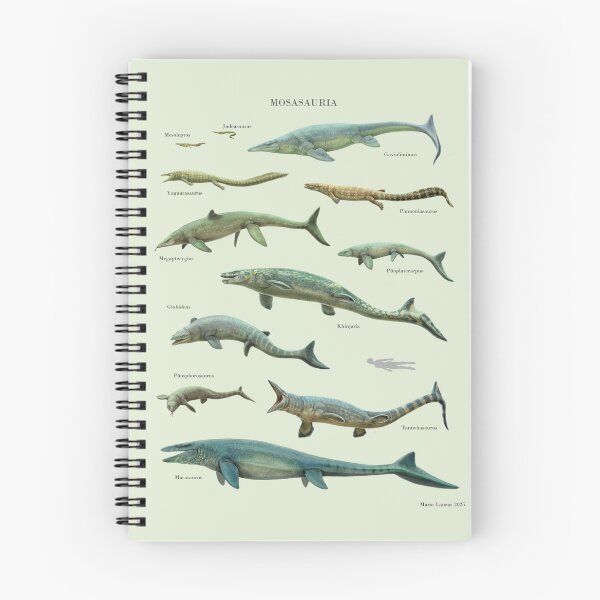 Item preview, MOSASAURIA and relatives. the last marine reptiles of the Mesozoic designed and sold by Mario Lanzas.