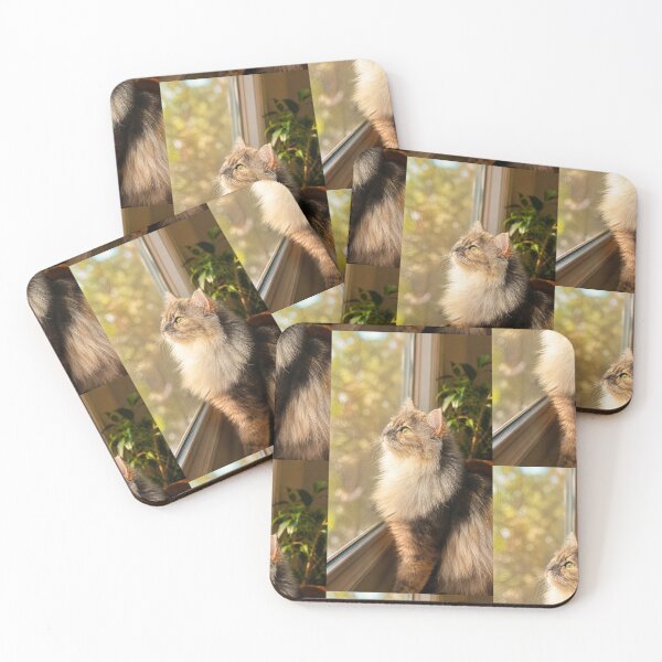 Item preview, Fluffy Cat Watching Sunlight designed and sold by DesignByKhayal.