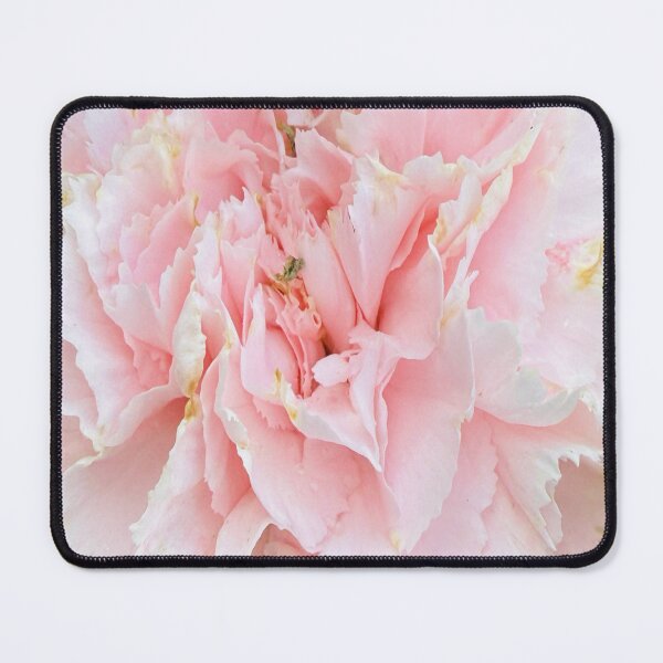 Item preview, Soft Pastel Pink Carnation Bloom and Buds Cutout designed and sold by BalkanBloom.