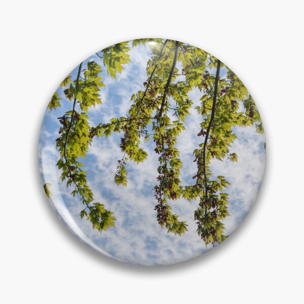 Item preview, Under a Fresh Spring Maple Tree Canopy designed and sold by Georgia Mizuleva.