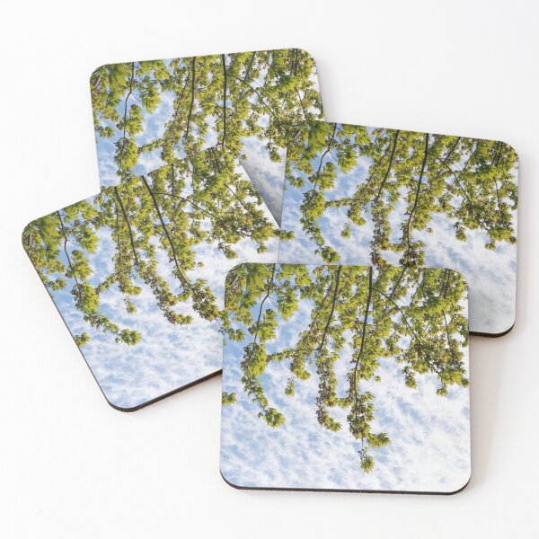 Item preview, Under a Fresh Spring Maple Tree Canopy designed and sold by Georgia Mizuleva.