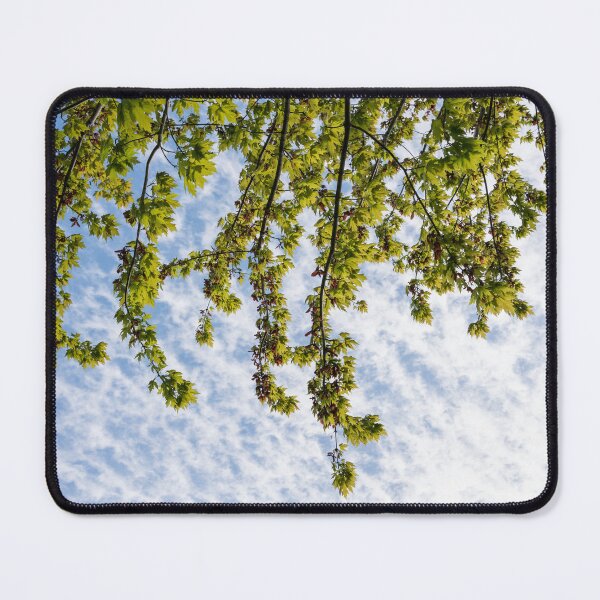 Item preview, Under a Fresh Spring Maple Tree Canopy designed and sold by Georgia Mizuleva.