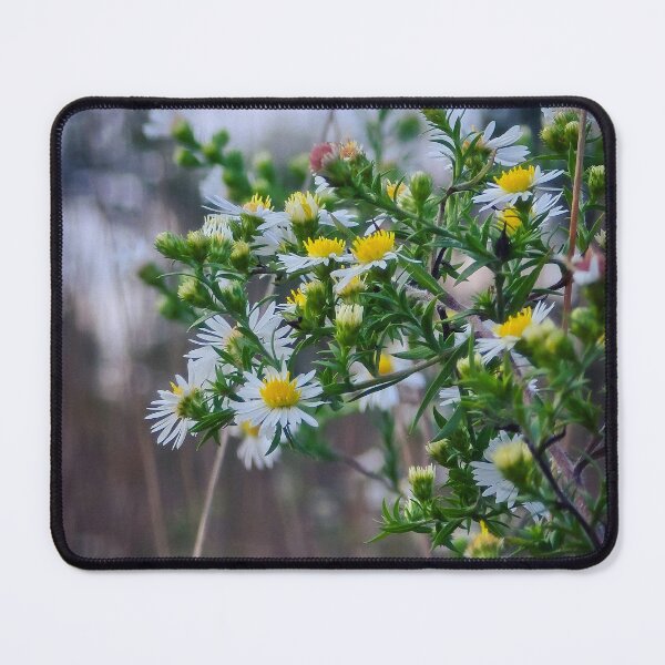 Item preview, Among the Asters No. 4 designed and sold by Feral Vibes.