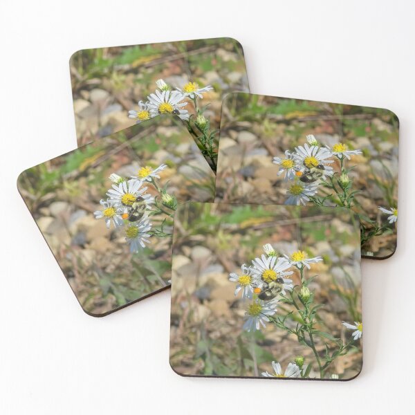 Item preview, Among the Asters No. 5 designed and sold by Feral Vibes.