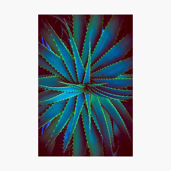 Electric Agave Photographic Print