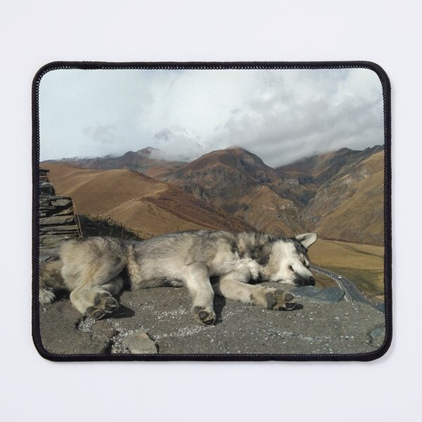 Item preview, Cozy Dog Resting in the Mountains Adventure Hiking Pup designed and sold by Mandarynkashop.