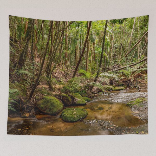 Item preview, Watagans National Park Landscape Photography – Sub Tropical Bush Canvas Art designed and sold by Ross.A.Campbell.