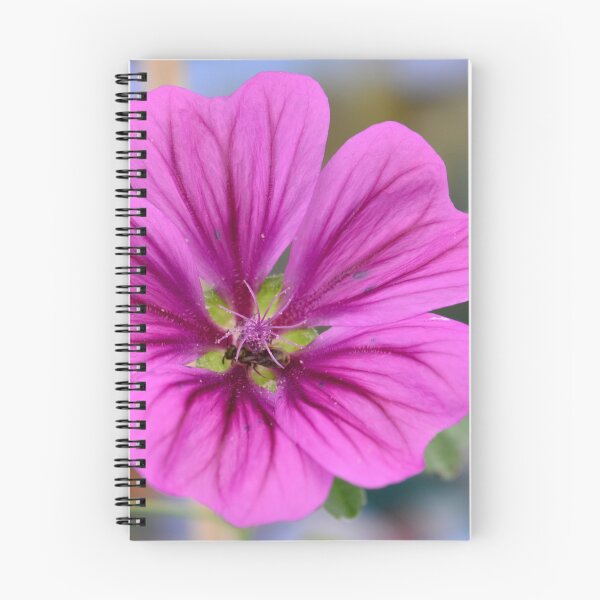 Item preview, Mallow (Photo: Sabine Braun) designed and sold by AmilysFriends.